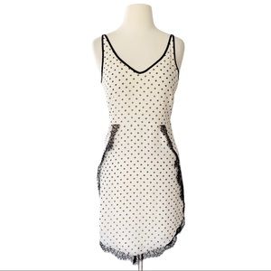 BCBGeneration polka dot lace dress size 0